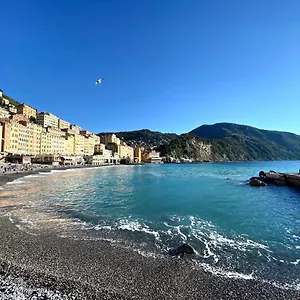 Appartamento Casaviva - Sweet Bilo On The Sea In, Camogli